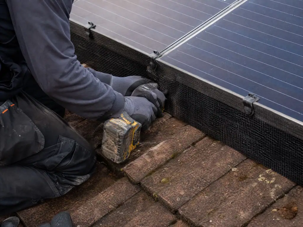 Bird mesh clipped along the edge of a solar panel array, Birmingham